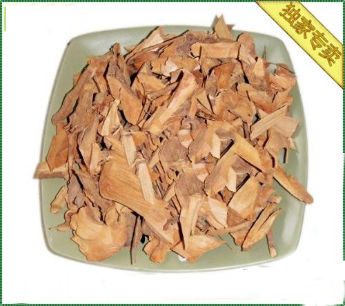 白飯樹(shù)根